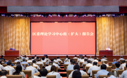 区委理论学习中心组（扩大）报告会举行