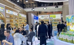 道地药材！随州凭实力出圈中医药
