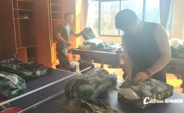 严阵以待 全力以赴！蔡甸民兵筑起防台风坚固防线
