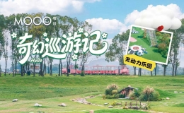 “五一”觅童趣 蔡甸索河牧川“奇幻巡游记”等你来闯关