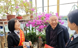 蔡甸知音社区：情系老兵映初心
