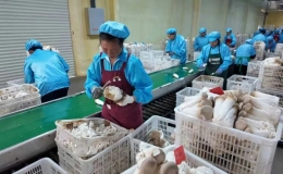 三笔账，一个环