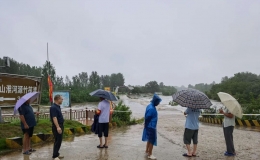 雨量185.9毫米，平安！淮河镇防汛一线直击