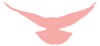 164544lzf5rnnrrzqbv5rf.png