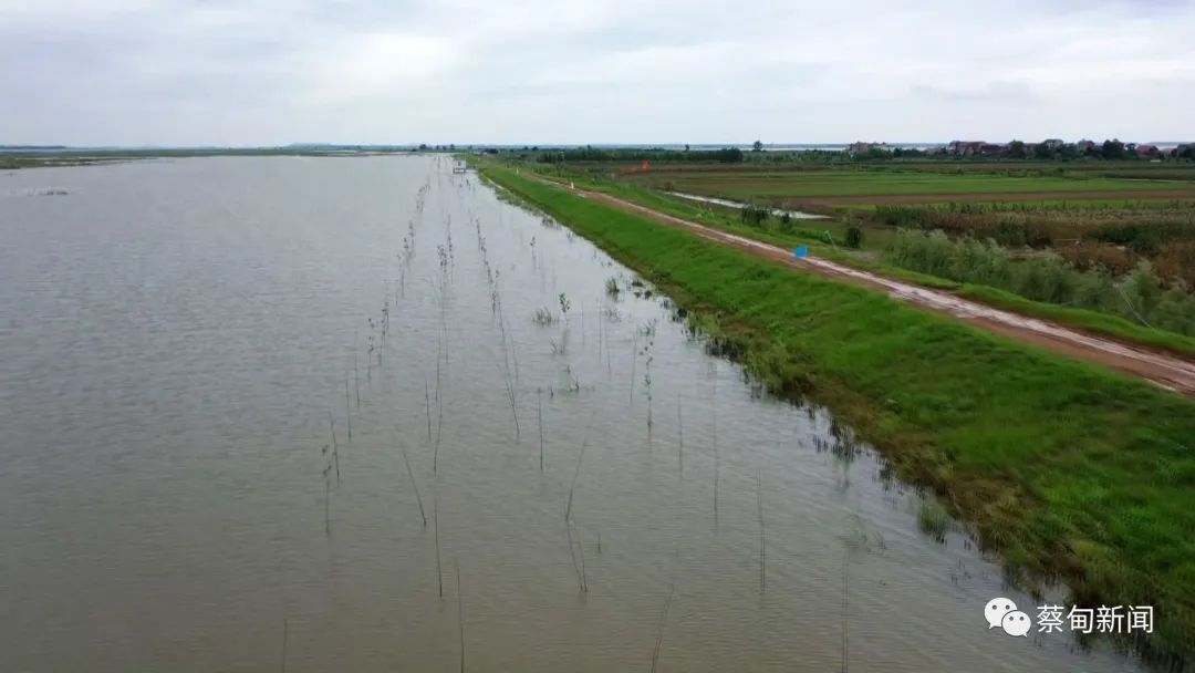 160540z3zdtloe002d2f82.jpeg