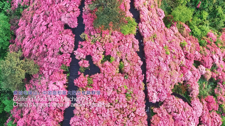 150109z3v3m96m969t4ms2.gif