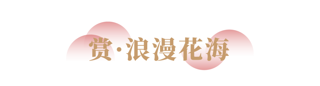 123718ahzzp3b6tgccyhty.png