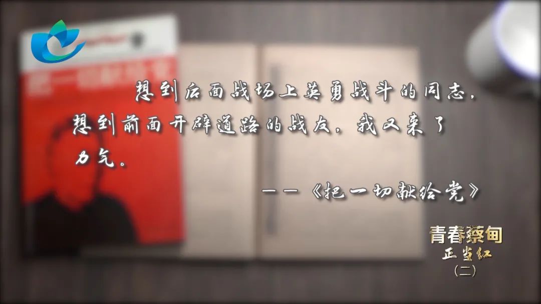 105253ma8qhaowzh3tyean.jpeg