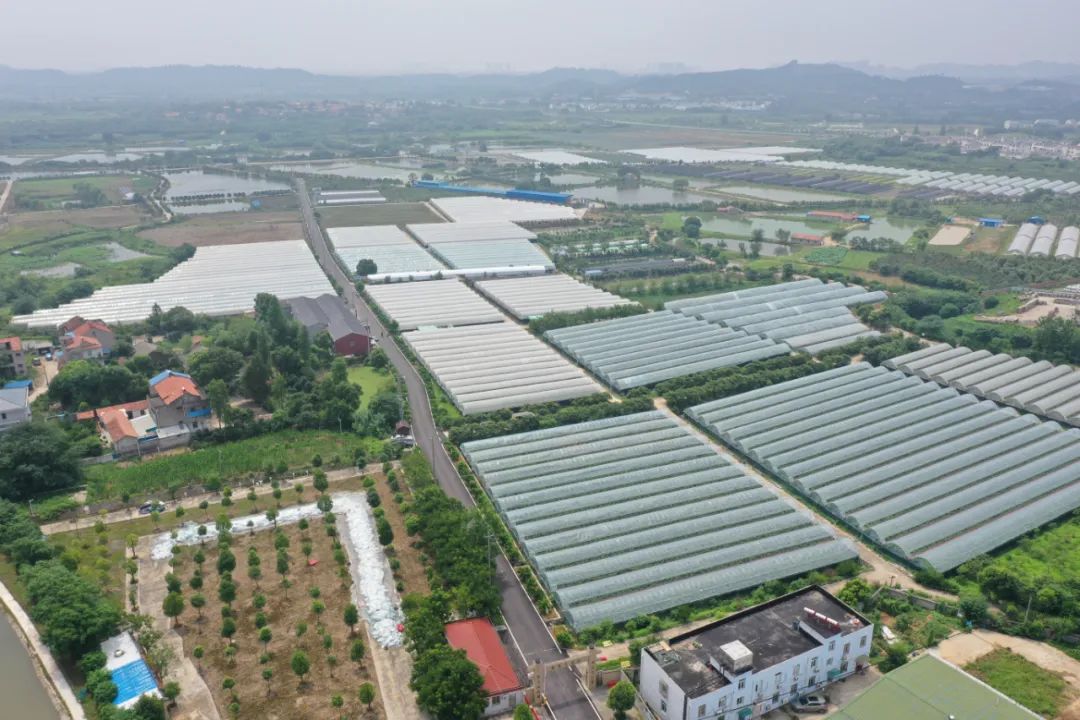215330hwv4vwnvevfe62e1.jpeg