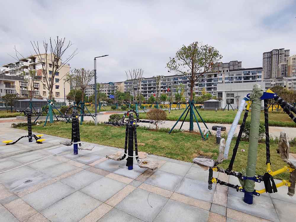 临嶂大道绿化广场改造工程项目施工现场-记者吴亭摄-(10)-拷贝.jpg