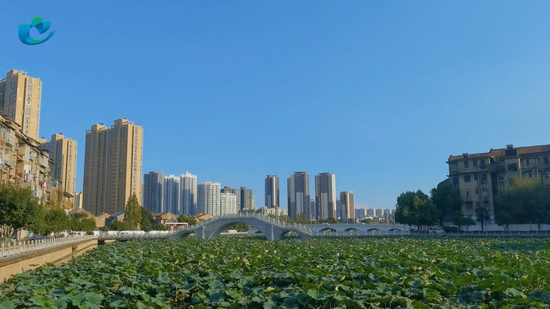 完整版台标角标.mp4.00_00_33_03.Still001.jpg