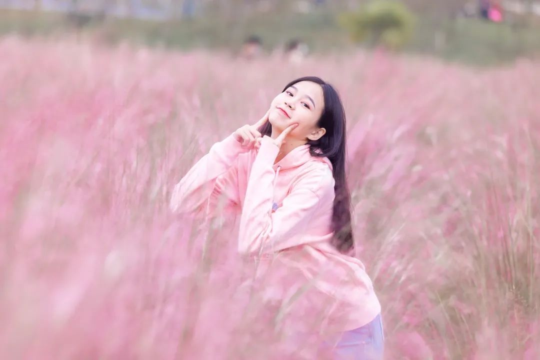124853wq3d4px44b379dn3.jpeg
