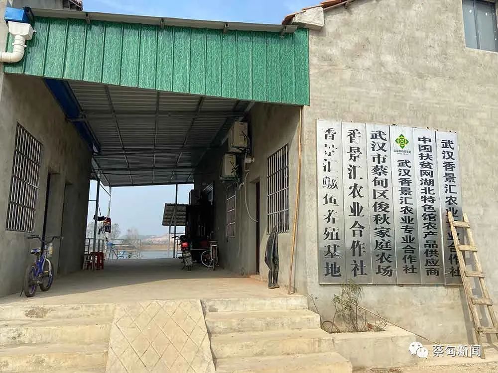 103108gusimrfw6kimjb9b.jpeg