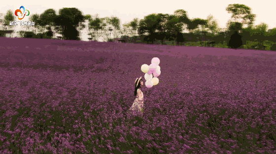 222854oqhvm7im5knvh5rm.gif
