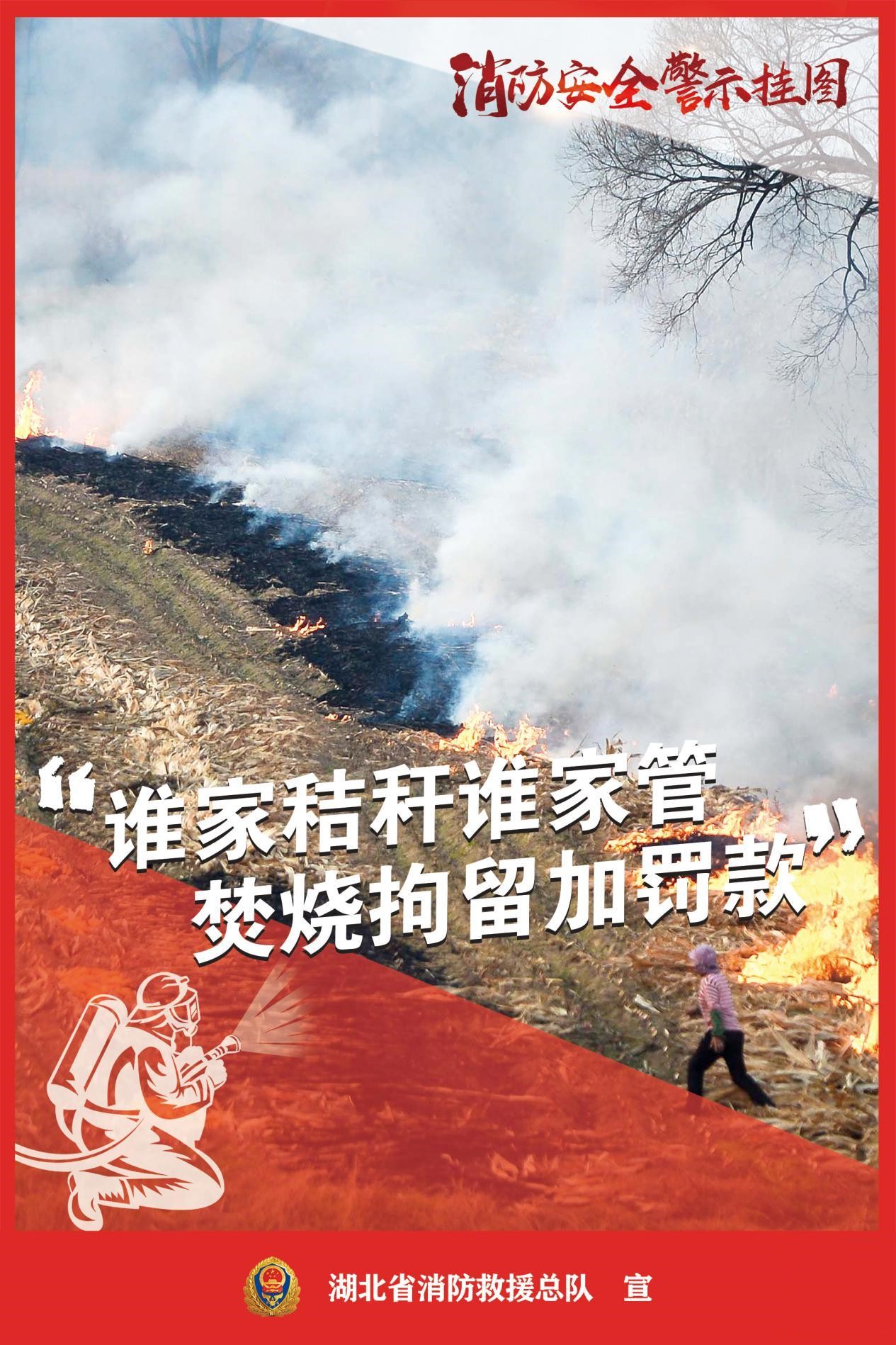 图片9.jpg