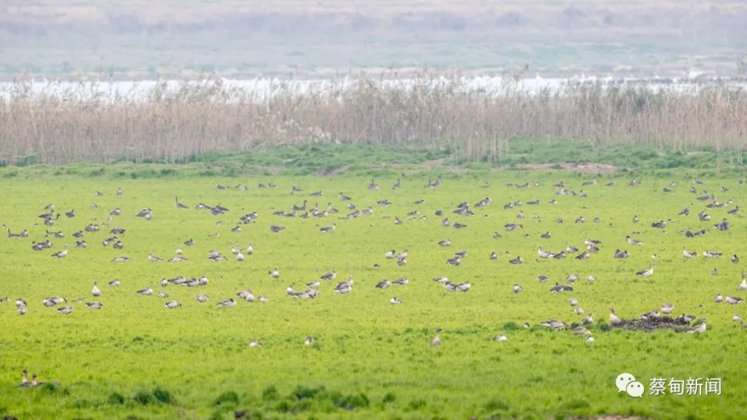 141210w9yy9wvqkv050m96.jpeg