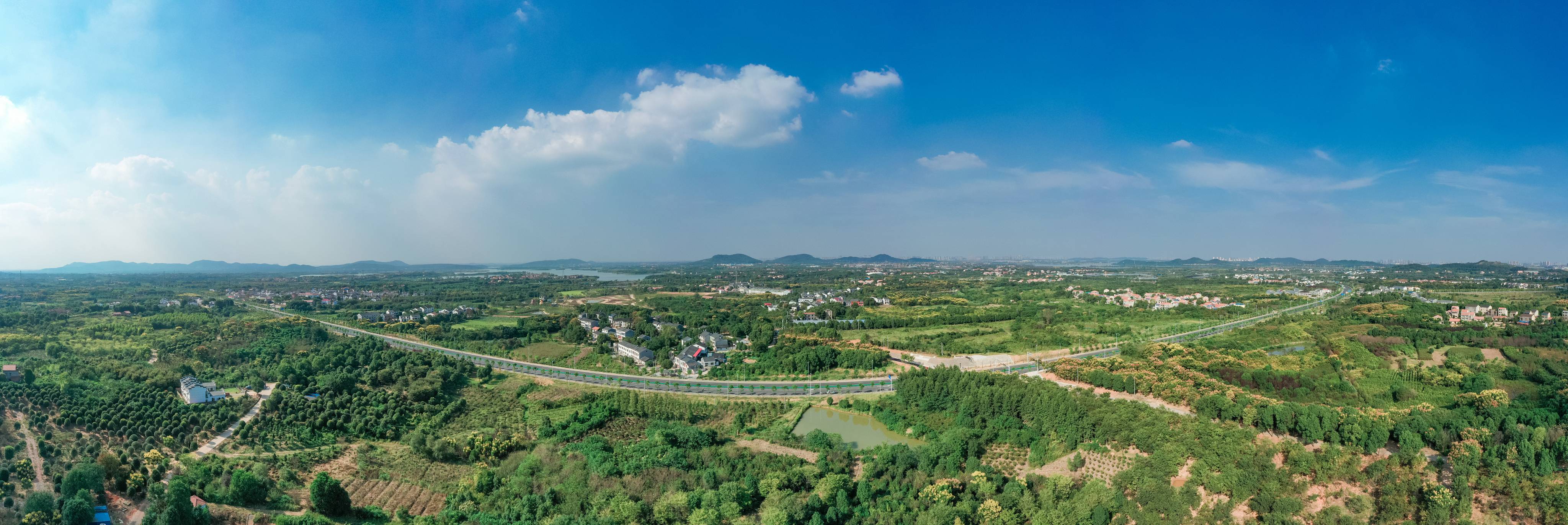 嵩阳大道、蔡甸生态(1).jpg