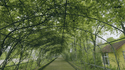 133454fyckyvgwyn00ckwr.gif
