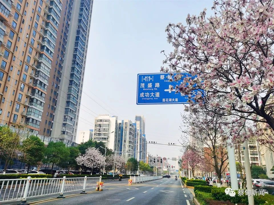 微信图片_20220319192255.png