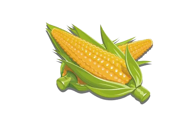 161522lc6xwnd7dt0dtwzw.png