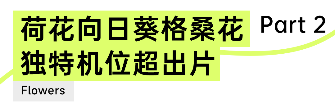 113913a2s3ss02n3cb0s2n.png