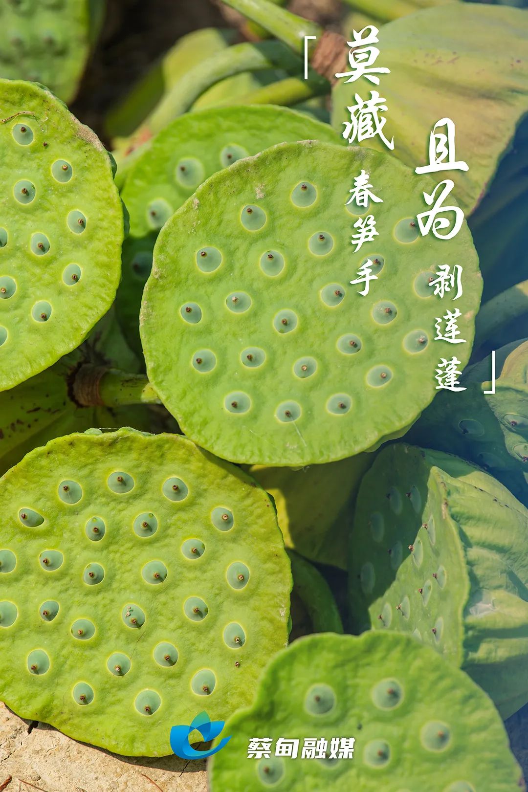 112847uj110n0zuu1msux1.jpg
