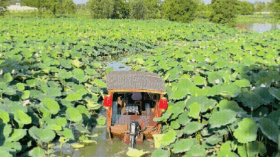224325ibvzfnzdunbpgwlt.gif