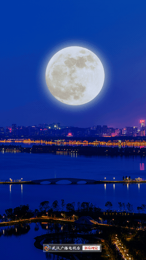 095249qq4yn5jc41y5c566.gif
