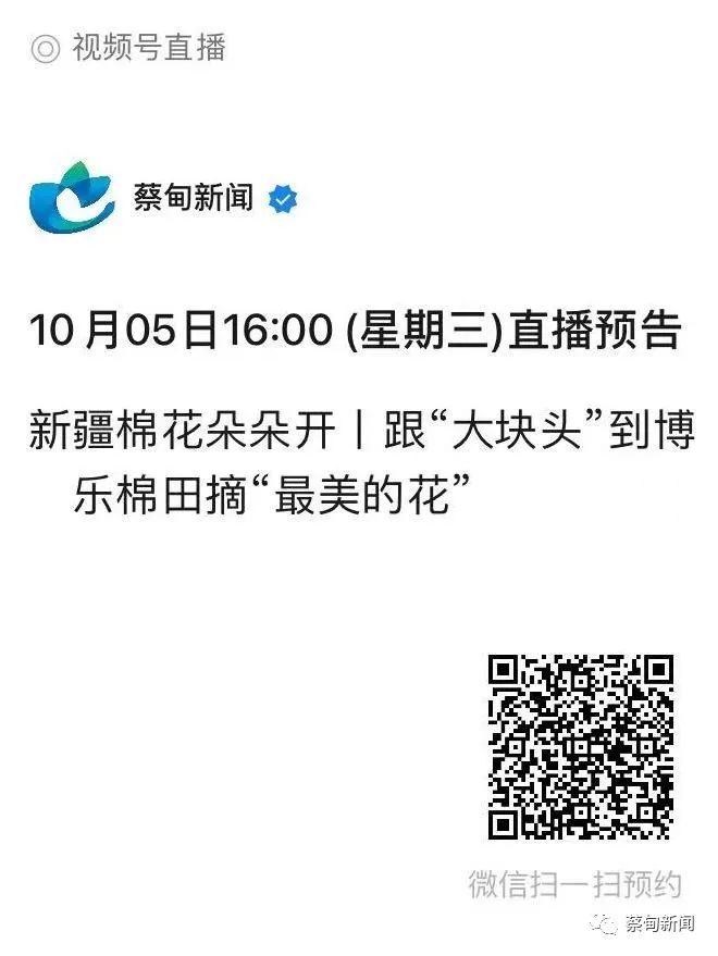 105425d9r44m1s31ps9mot.jpeg