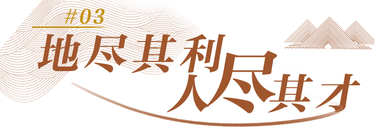 111121izeeh960thvvaqhq.png