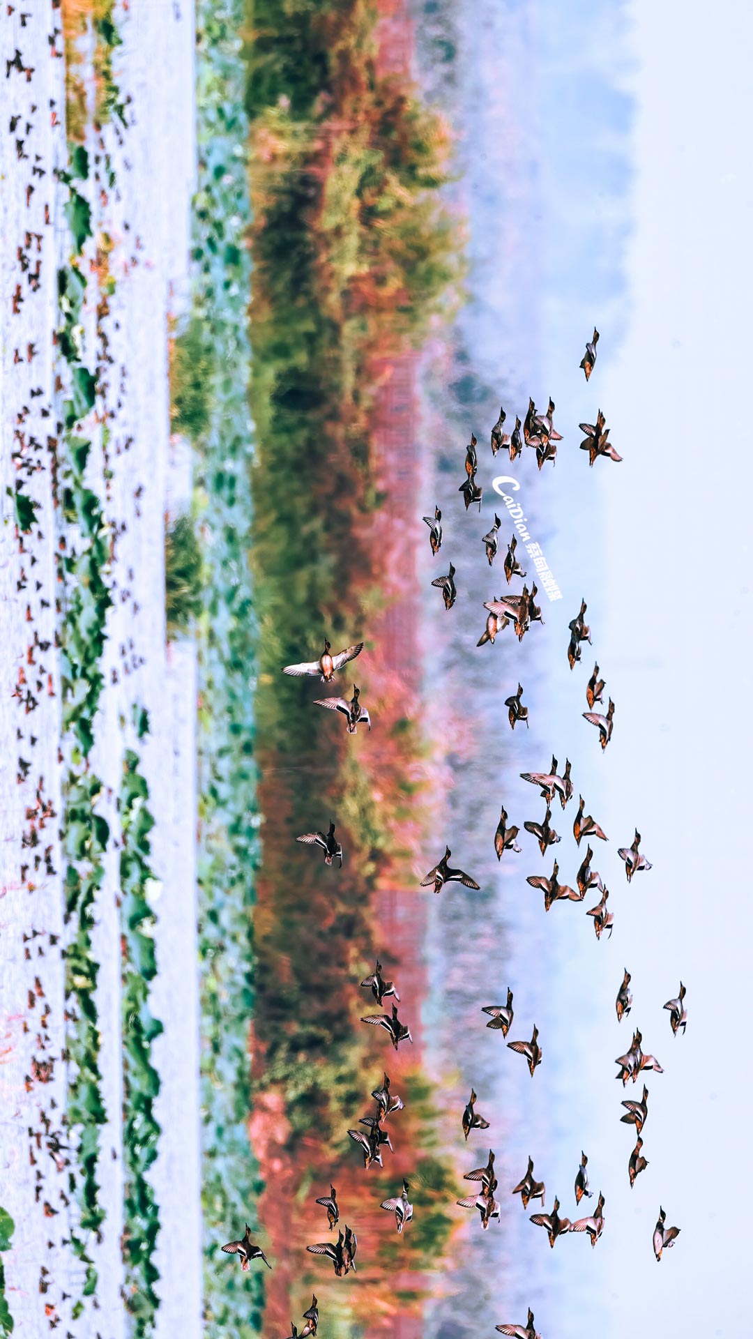 102628tvnnjbntkinkvhii.jpg
