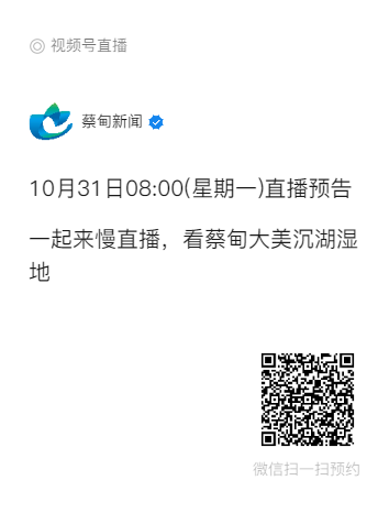 234547k6ezbm8jf5zc8q66.png
