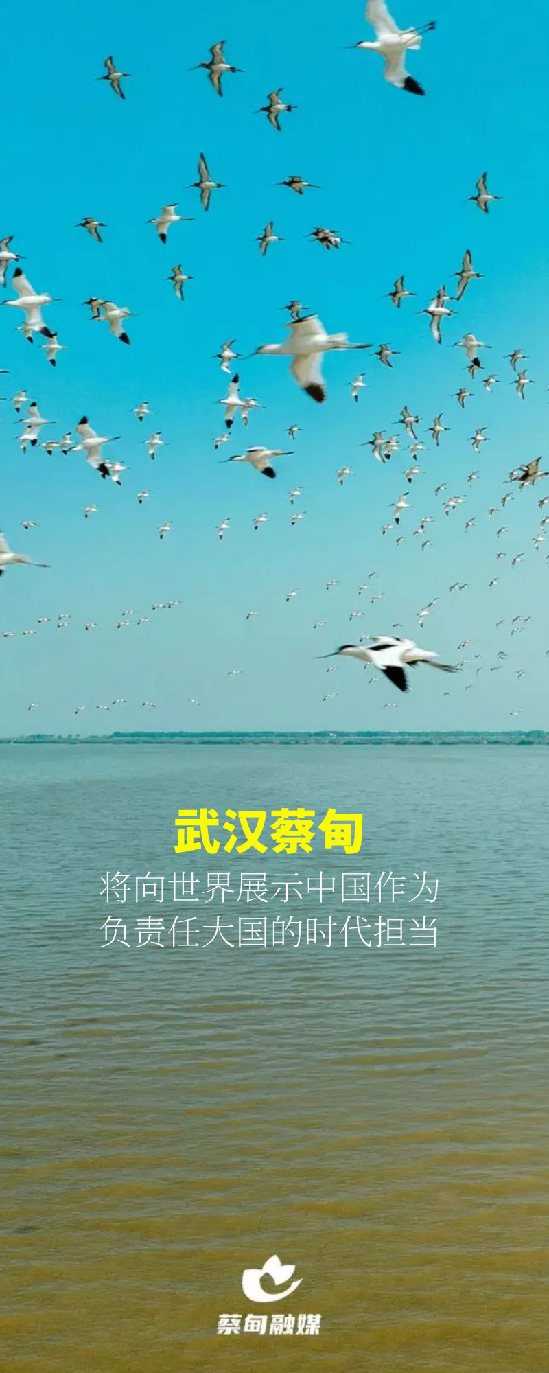 130229j7ypihvr851pv3rs.png