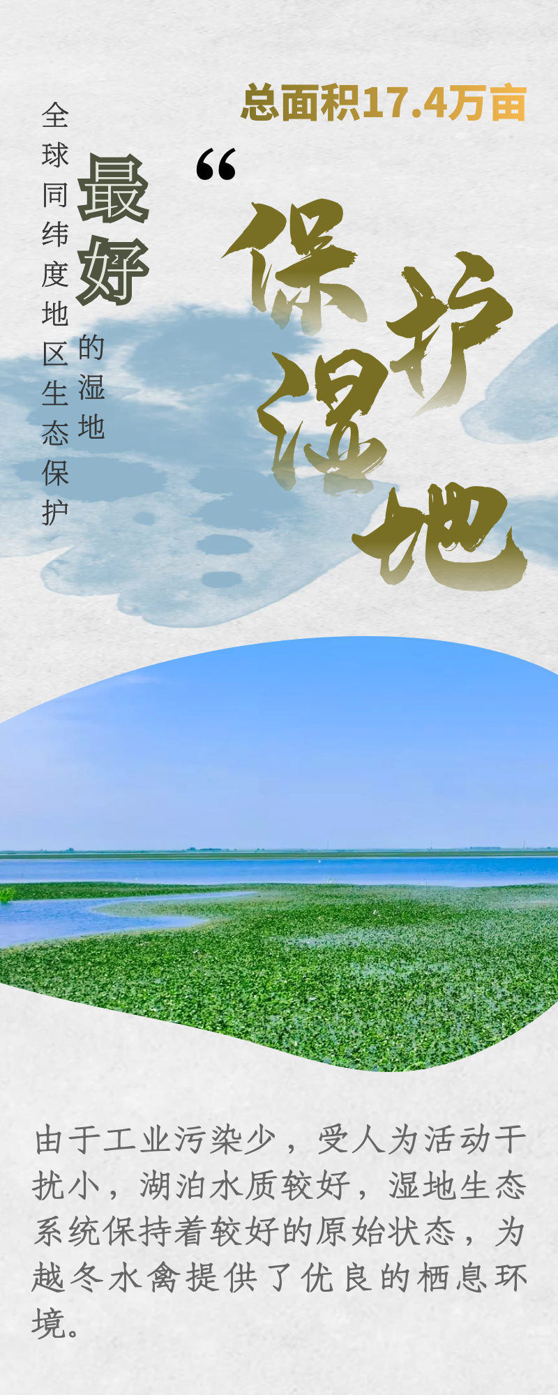 130229kec4rp5bc65cczjd.png