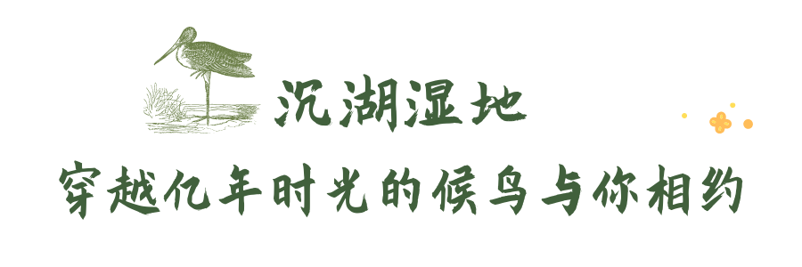 180037ubgnn9y119k76g1x.png