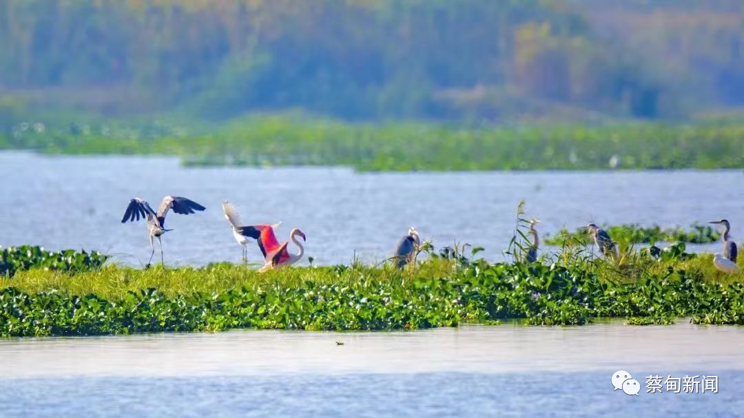 091538oomce9qu84oq3ke9.png