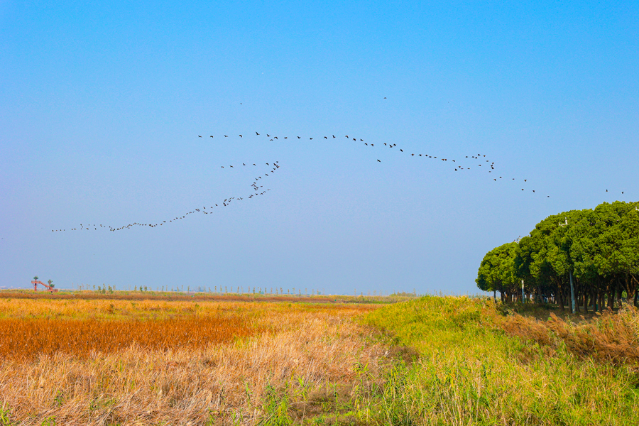 154135i44ep3vpjp0wh3gj.jpg