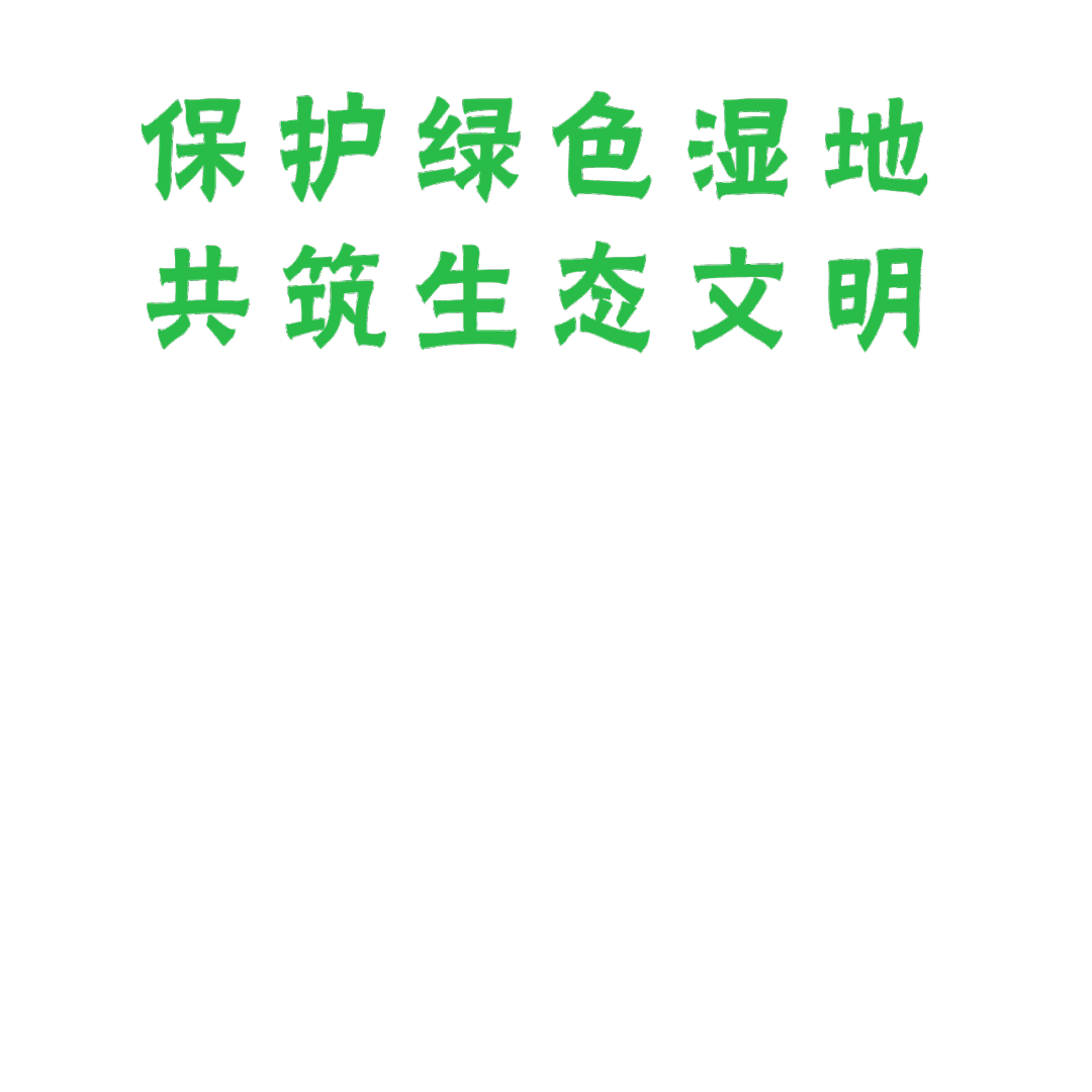 122411l00y65tvh02tv680.gif
