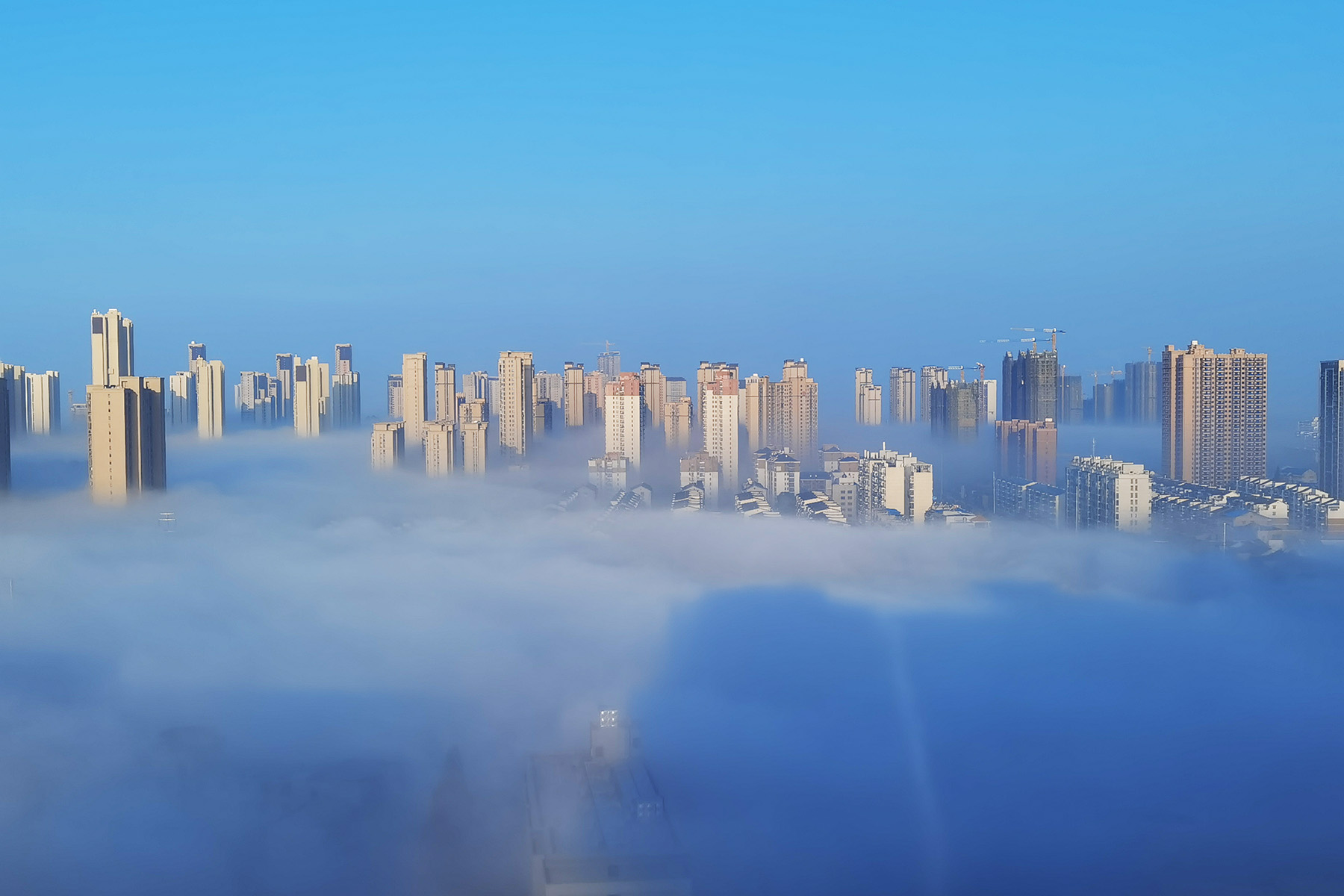 微信图片_20221117082658.jpg