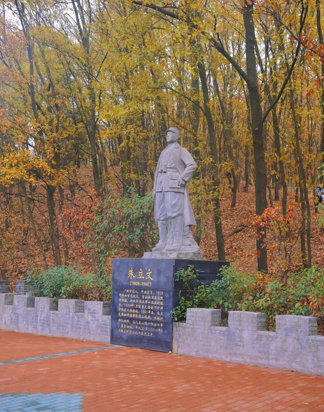 162201hszgd45ipiqivp4g.jpeg