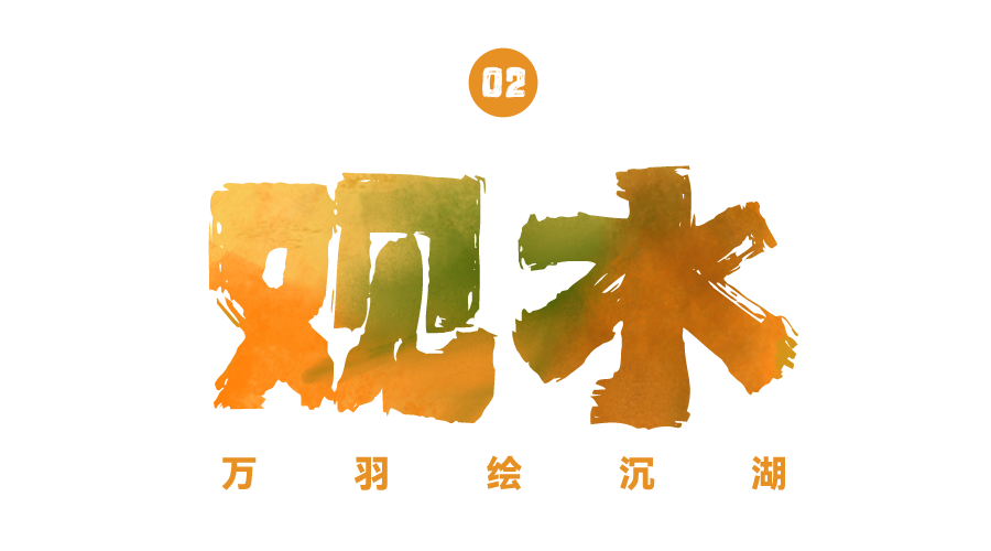 102301ytoabatqqab3olox.png