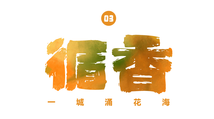 102302zjigdj111gjvln7d.png