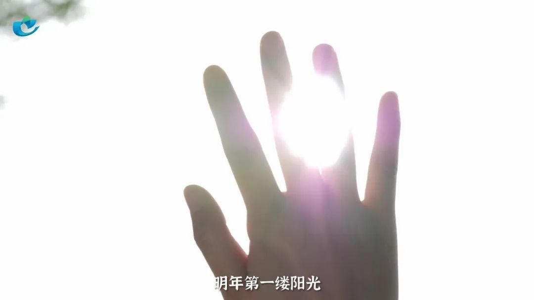 152258d989zzuw29hxplsr.jpeg