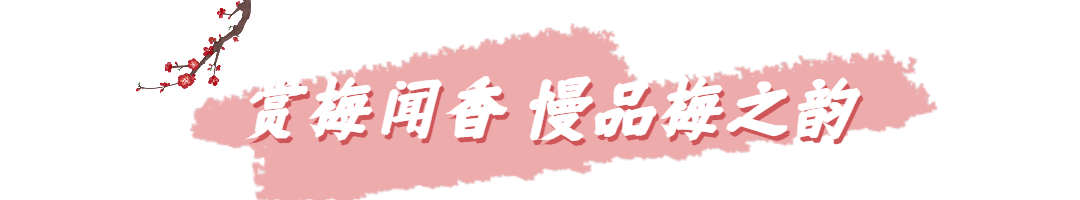微信图片_20230209130714.gif