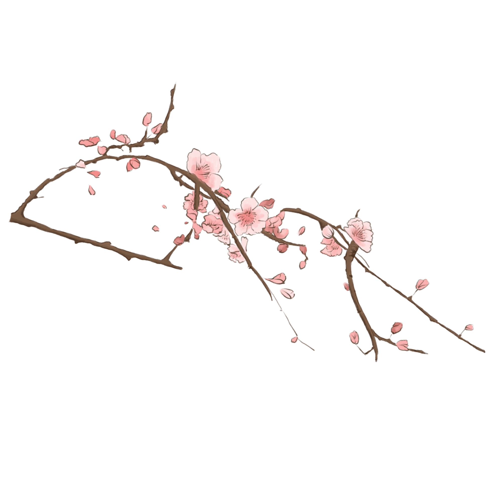 100810ls12t6addezy47d7.png