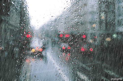125242nk8wpc59wkgow38o.gif