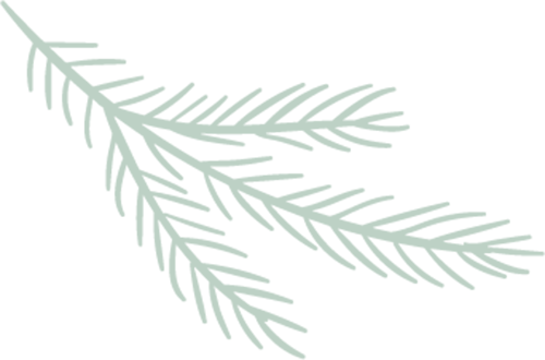 162353huoxruv2wuprqbx5.png