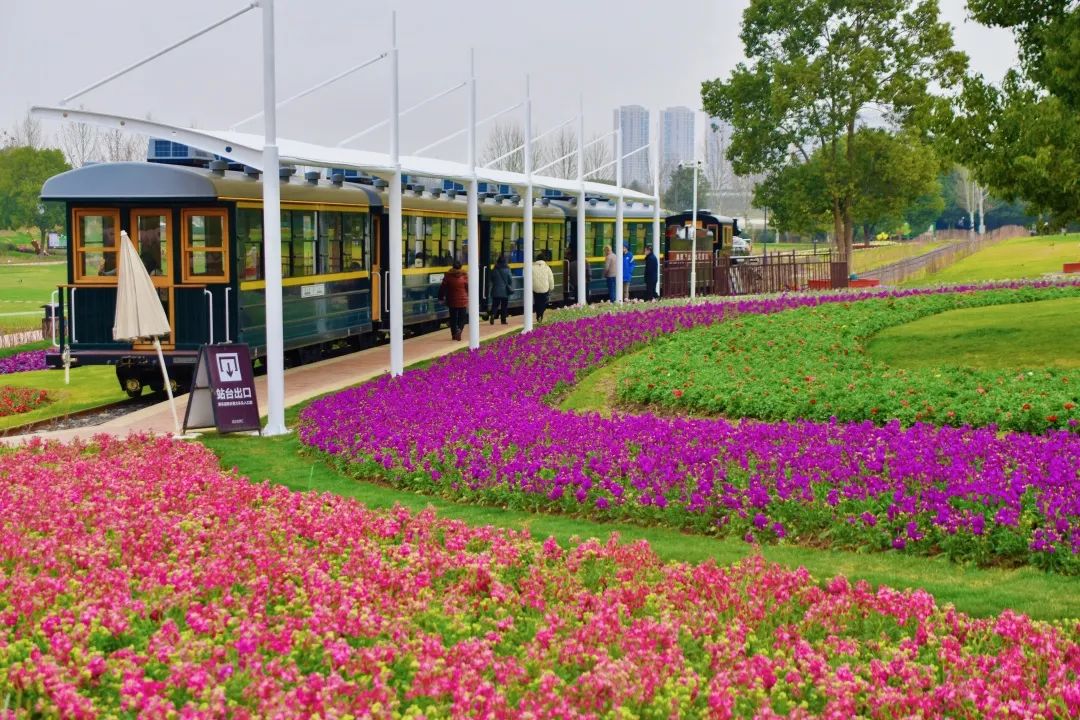 162354sq1pobvpao2qhszm.jpg