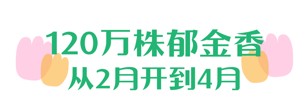 122755kaik4iiuhnfh4hnq.png