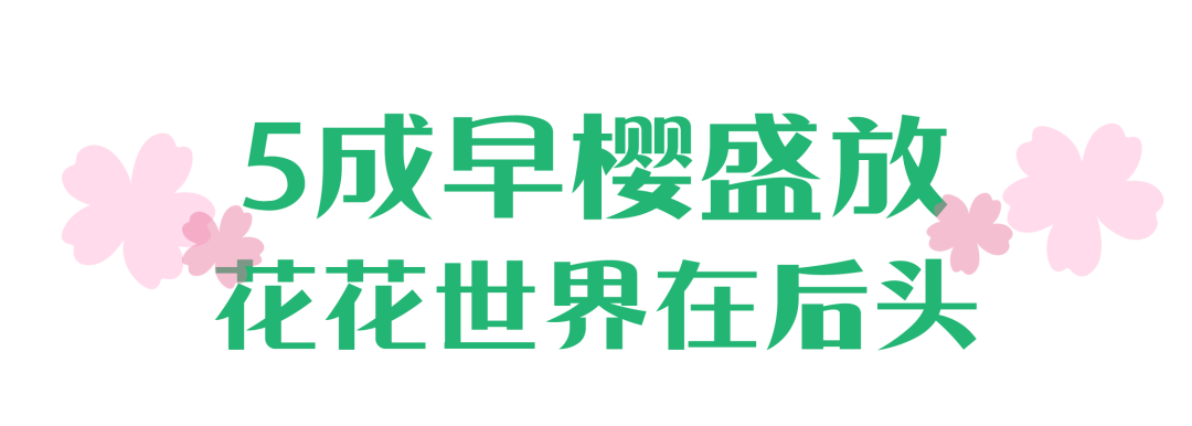 122756l90zhp9rhx3t499r.png